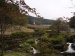 秋の訪れ感じる紅葉ツアー